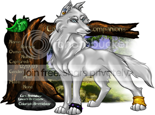 User Image